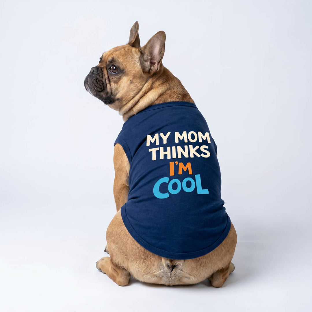 Back view of French Bulldog wearing a blue dog shirt with text 'My Mom Thinks I'm Cool' on a white background