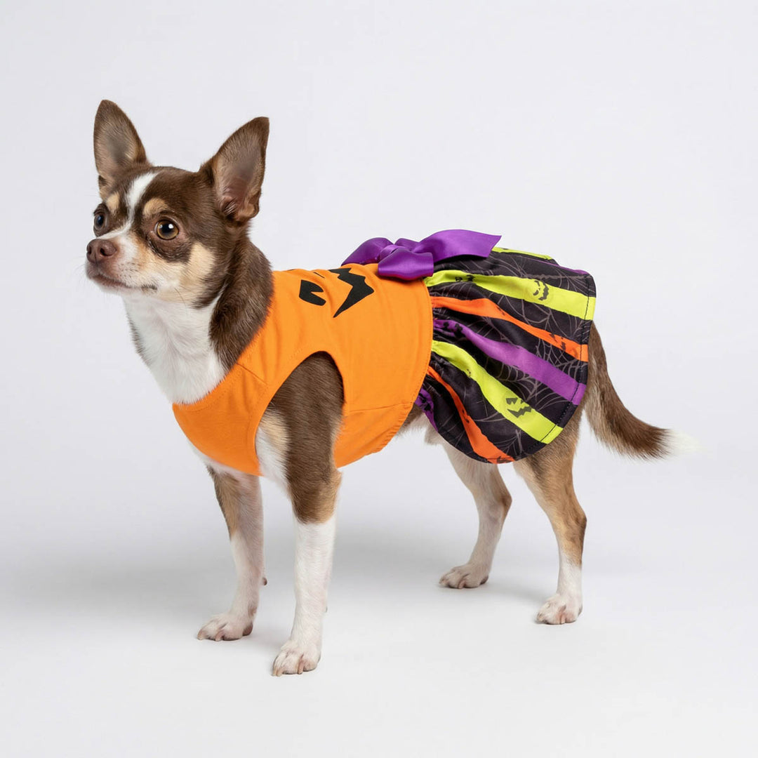 orange dog dress Sweet Orange Dog Dress: Ruffled Cotton Pet Apparel