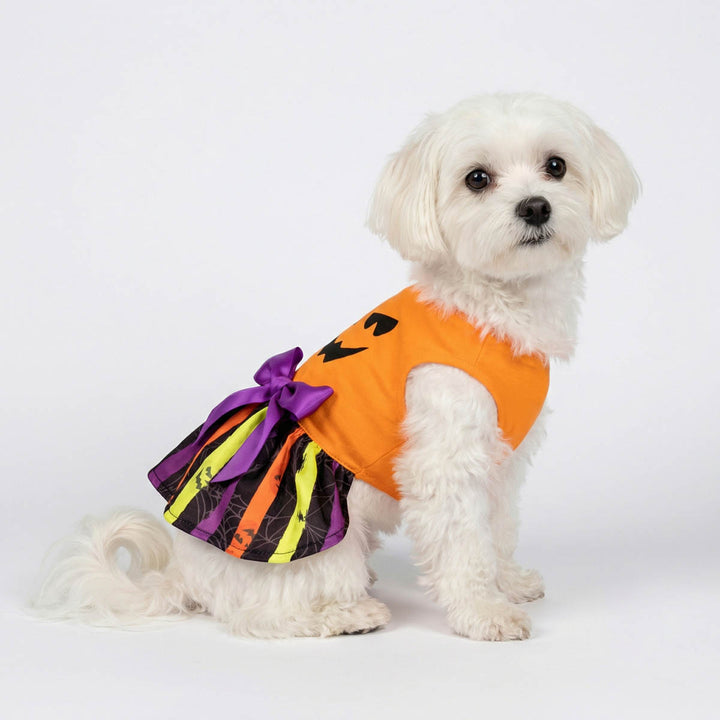 Orange Jack-o'-lantern Dog Dress