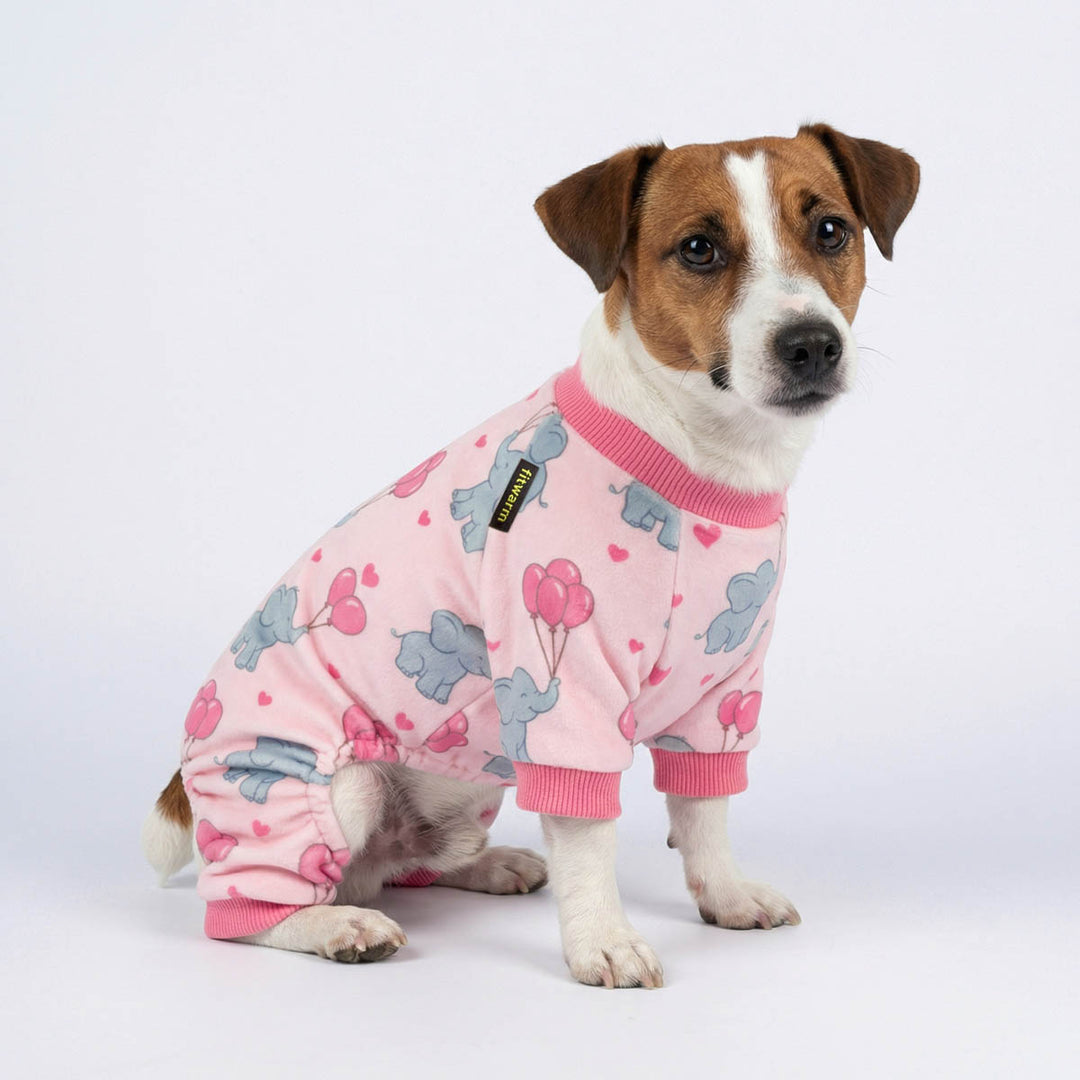 Jack Russel in a pink pajamas for dogs with elephant and balloon prints