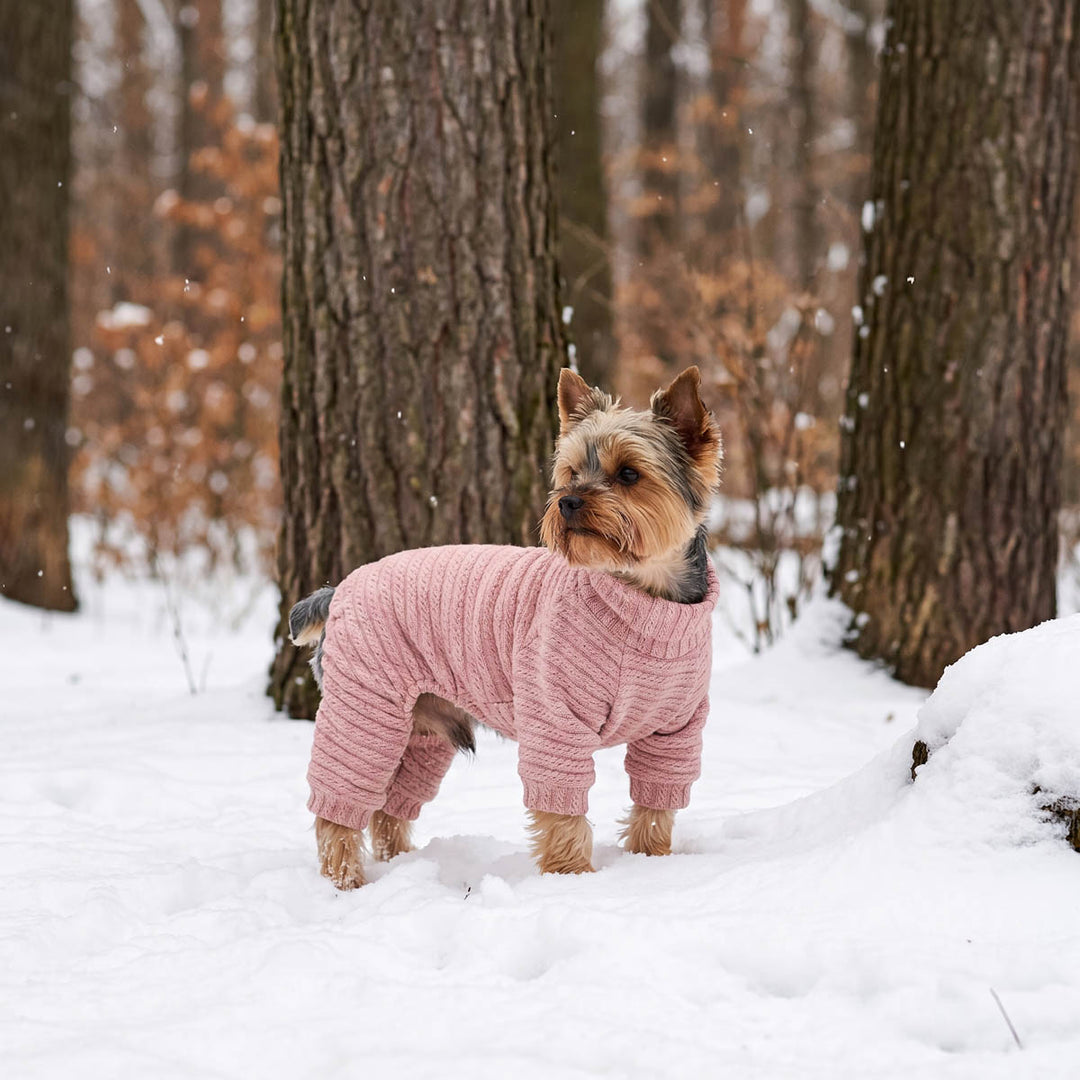 Yorkie wearing a cozy dog knitted pajamas in a snowy forest background