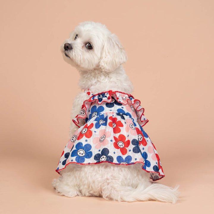 Patriotic smiley face dog dress on a small dog in a beige background