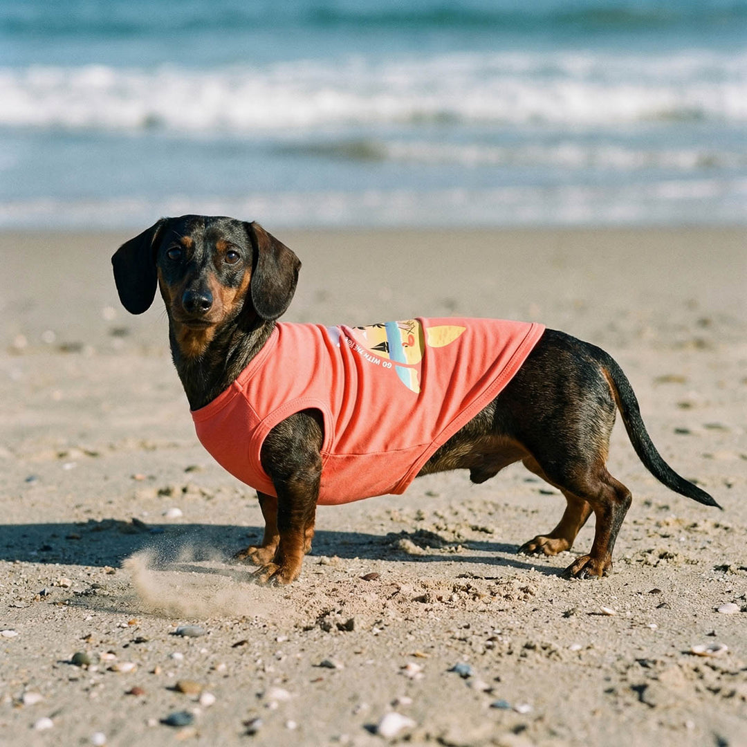 Dachshund standing on a beach with a Hawaiian dog tank top