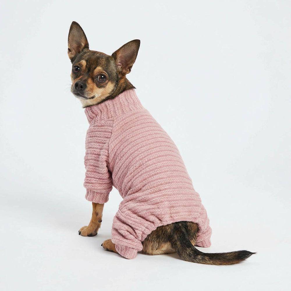 Chihuahua in a cozy knitted pajamas for dogs