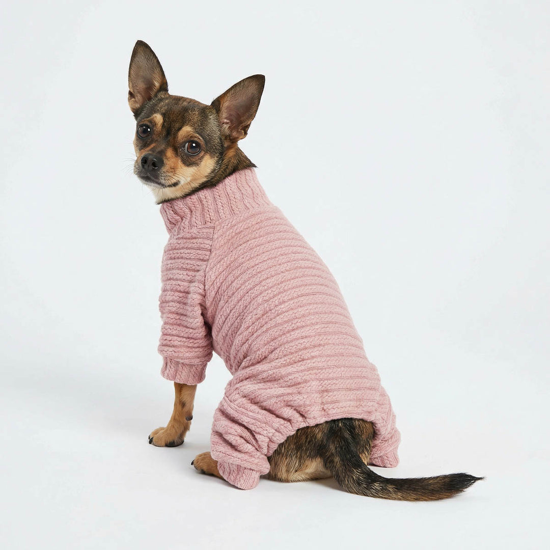 Chihuahua in a cozy knitted pajamas for dogs