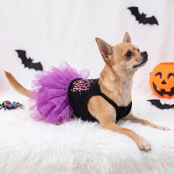 Small Chihuahua wearing a black Halloween dog dress with a fluffy purple tutu skirt, lying on a white faux-fur rug