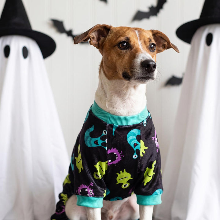 Small dog wearing a Halloween dog pjs with colorful monster prints on a backgroud decorated with ghosts and bats