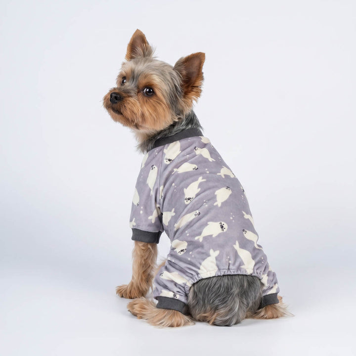 Back view of Yorkie wearing a purple pajamas for dogs with adorable seal prints