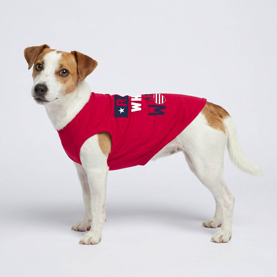 Jack Russell in a patriotic dog shirt with 'red white and woof' lettering