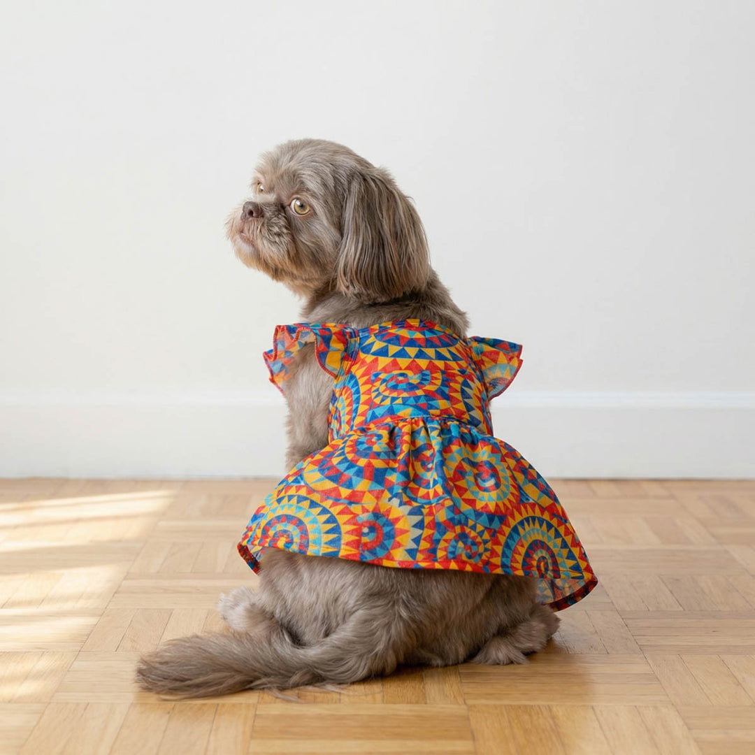 Back view of a small dog sitting on a wooden floor with a dog ruffle dress with kaleidoscope prints