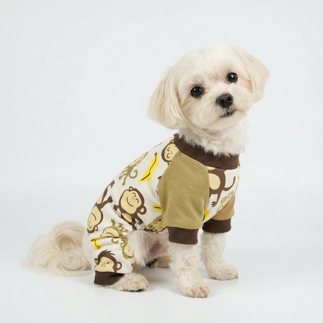 Small dog sitting on the ground with cozy dog onesie with monkey prints