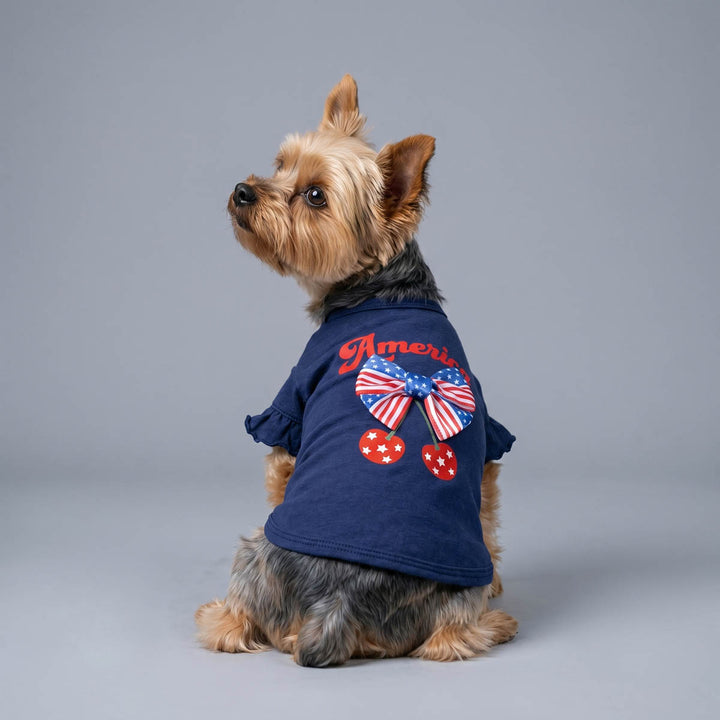 Small dog wearing a blue dog tshirt with American-themed designs on a gray background
