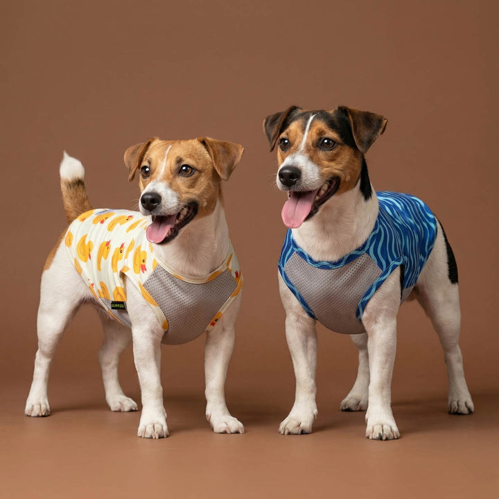 Two dogs in UV protection dog shirts: one with yellow duck print, other with blue ocean waves pattern. UPF50+.