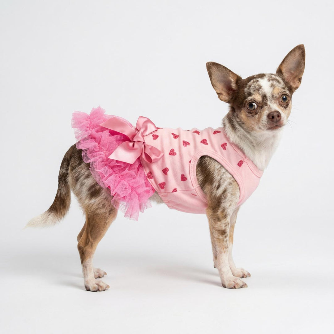 chihuahua in pink dress Chihuahua Fashion: Lulu's New Dress