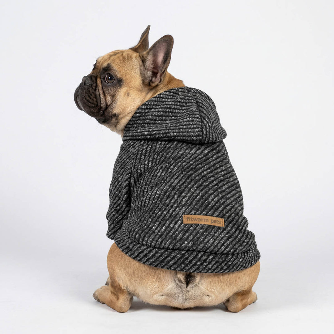 French Bulldog wearing a classic striped dog hoodie, look from back view