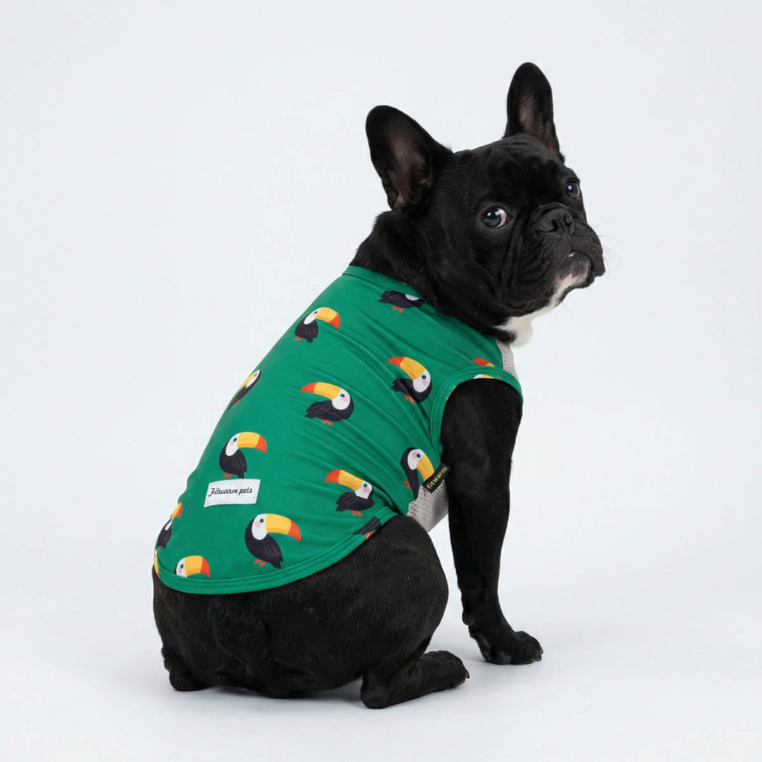 Dog wearing a green UV shirt for dogs with toucan patterns on a white background