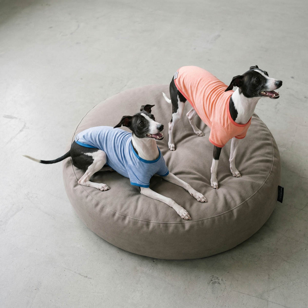 Blue and peach solid color dog shirts from 3-pack collection.
