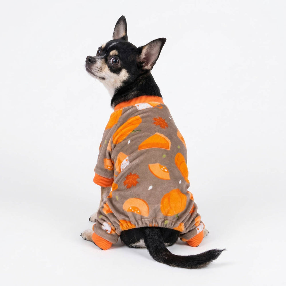 Chihuahua sitting in a Thanksgiving pajamas for dogs designed with pumpkin and pie prints