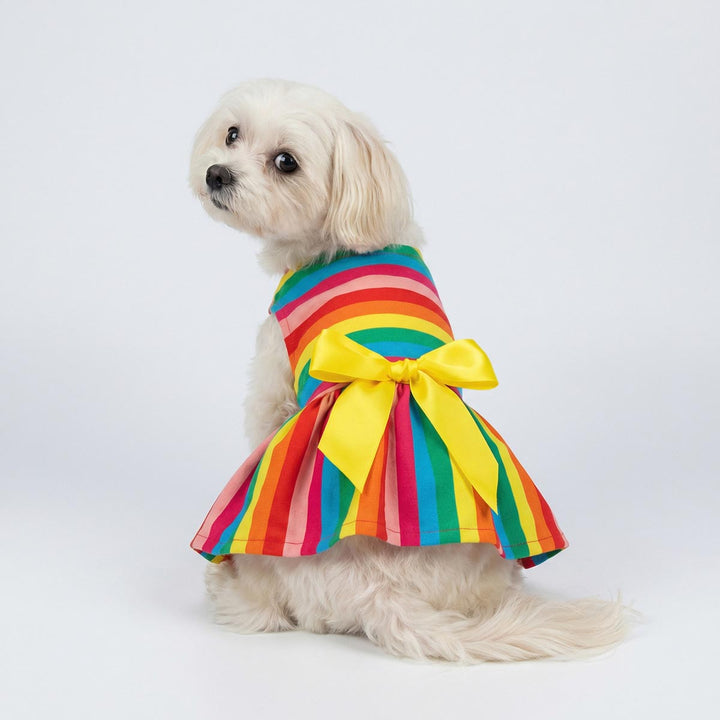 Back view of a small dog sitting on the ground in a rainbow striped dog dress with a bowknot
