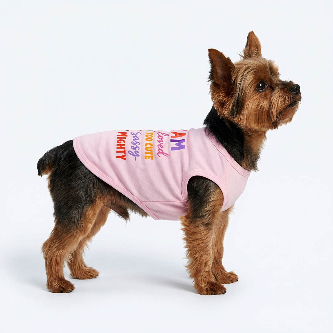 Small dog wearing a pink dog tshirt with colorful text on a white background