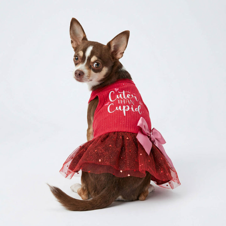 Chihuahua wearing a red Valentine dog dress with 'Cuter than Cupid' lettering and tulle skirt design