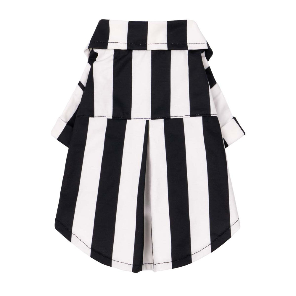 Black and white striped dog shirt with collar, perfect for a sleek modern look.