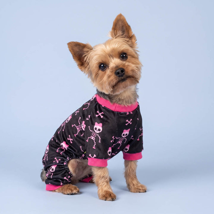 Yorkie wearing a black full-body dog onesie with pink trim and a pink dancing skeleton pattern, posed against a light blue studio background