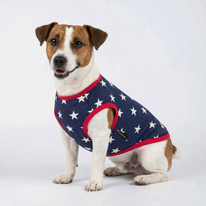 Dog wearing a red, white, and blue star-patterned dog shirt on a white background