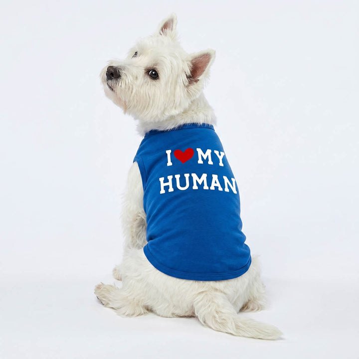 Westie looks back in a blue dog tank top with 'I love my human' lettering