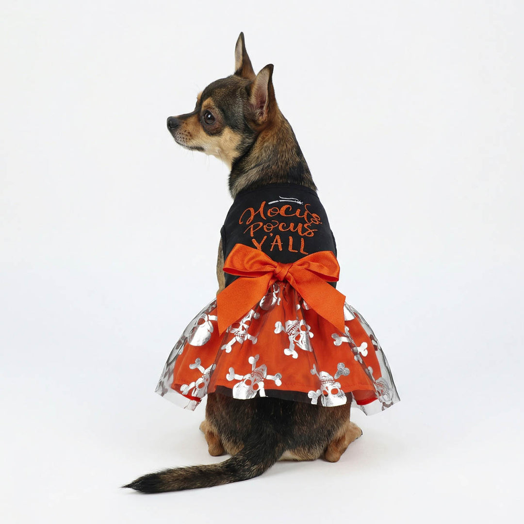 Back view of Chihuahua in Halloween dress for dogs with spooky prints