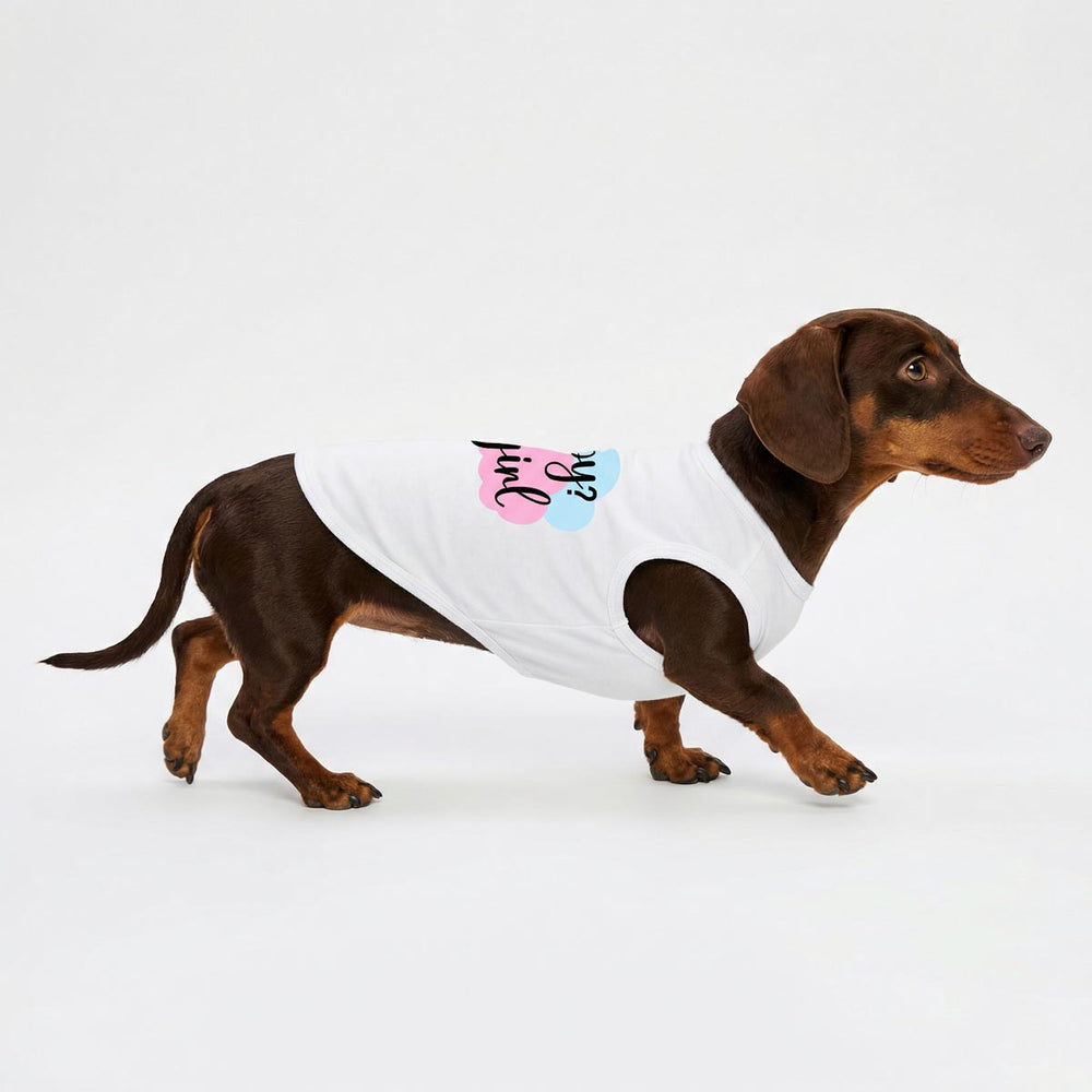 Dachshund wearing a white dog tank top with colorful 'boy or girl' lettering on a white background