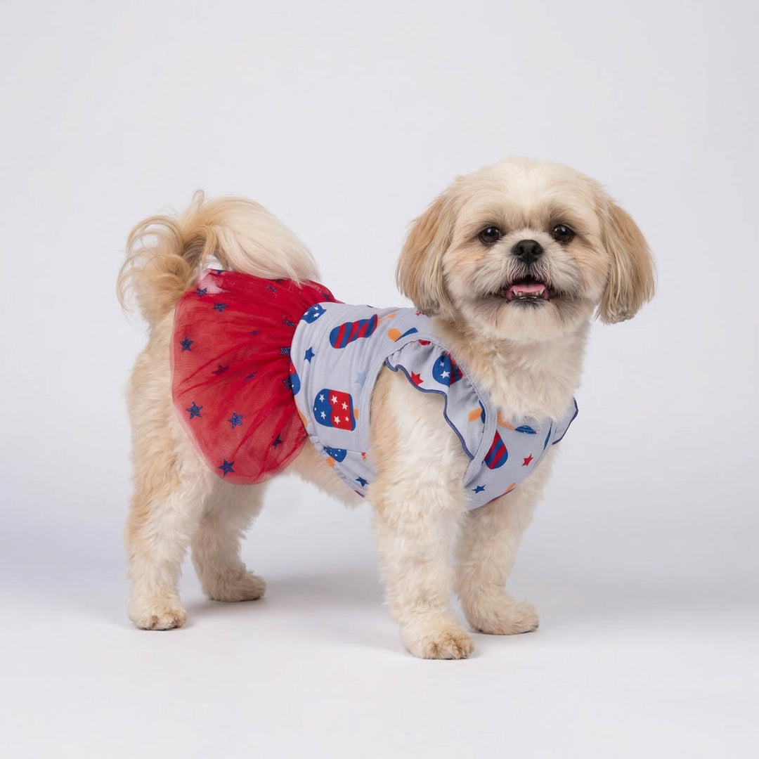 Small dog wearing a red and blue dog tutu on a white background