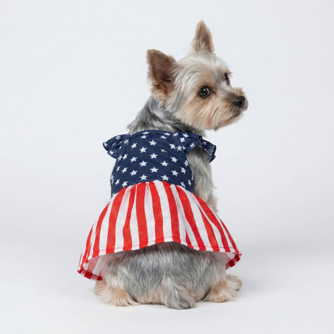 Yorkie in a red, white, and blue striped dress for dogs 