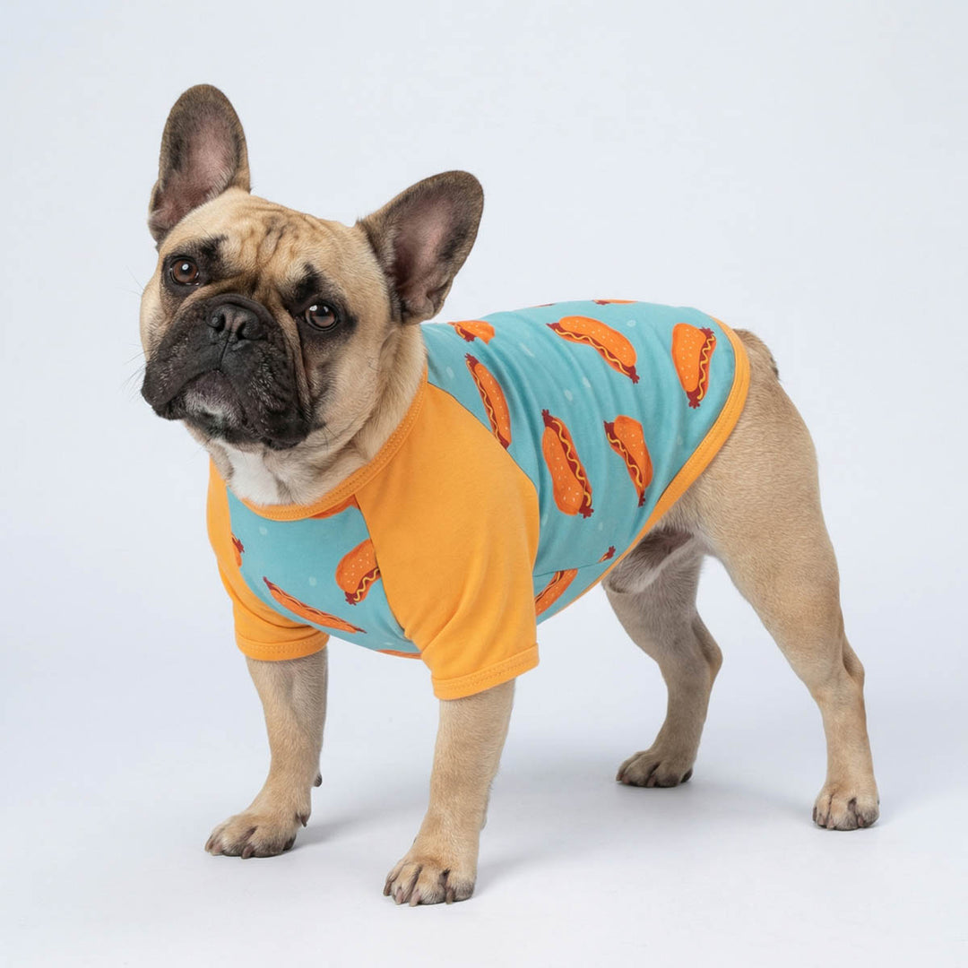 Small dog wearing a hot dog dog t shirt in a studio background
