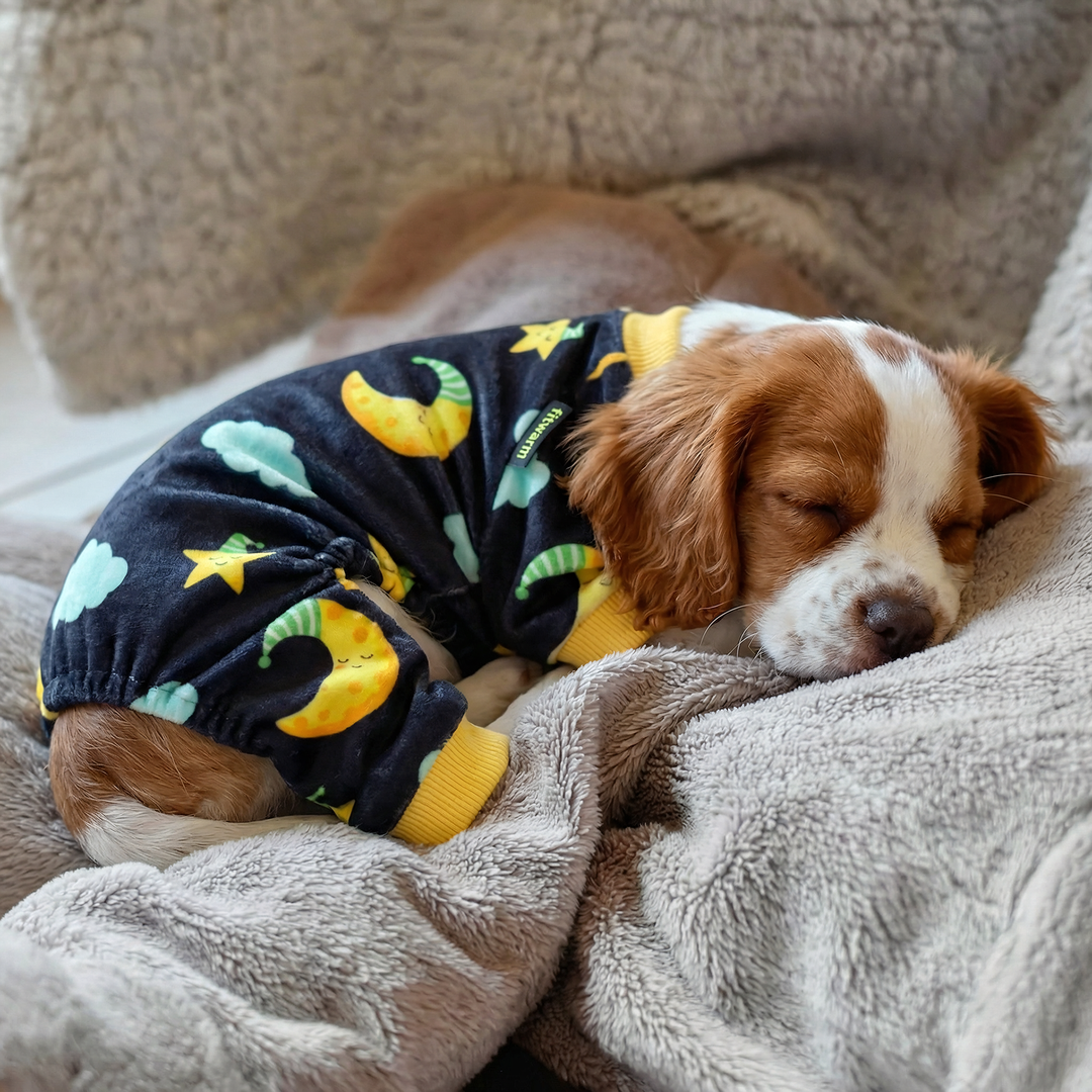 Cute dog sleep on blanket with a cozy dog fleece pajamas