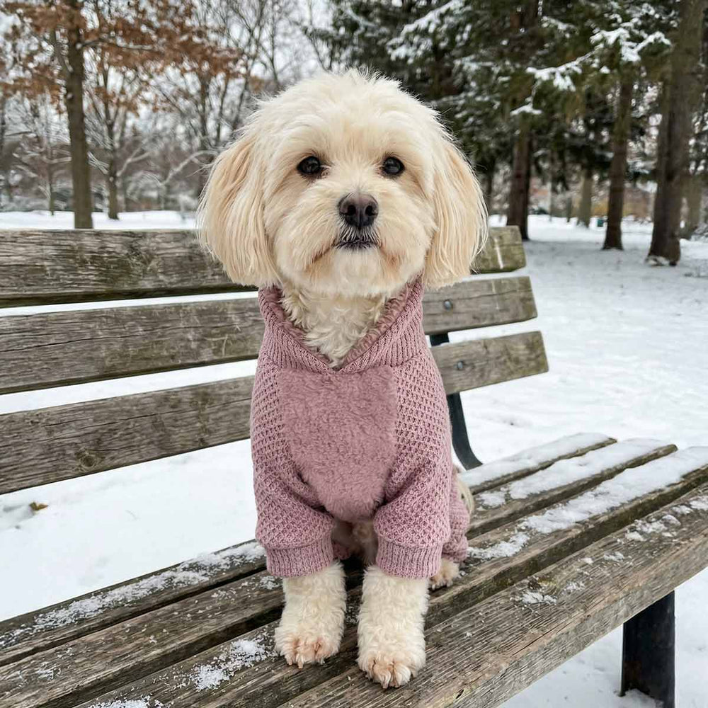 Small dog wearing a cozy dog fleece pajamas and sitting on the chair in snowy day