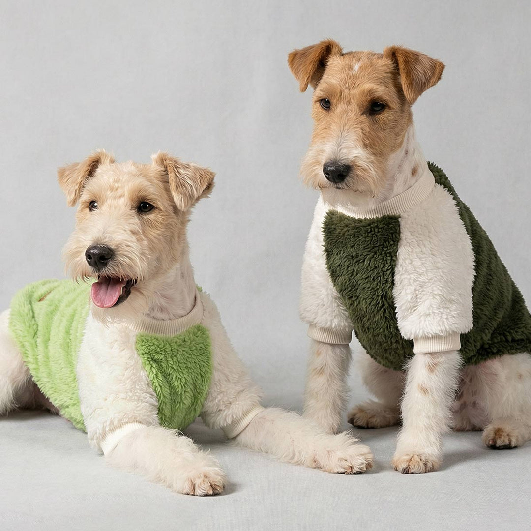 Two dogs in cozy fleece dog pjs, one green and white, the other light green and white