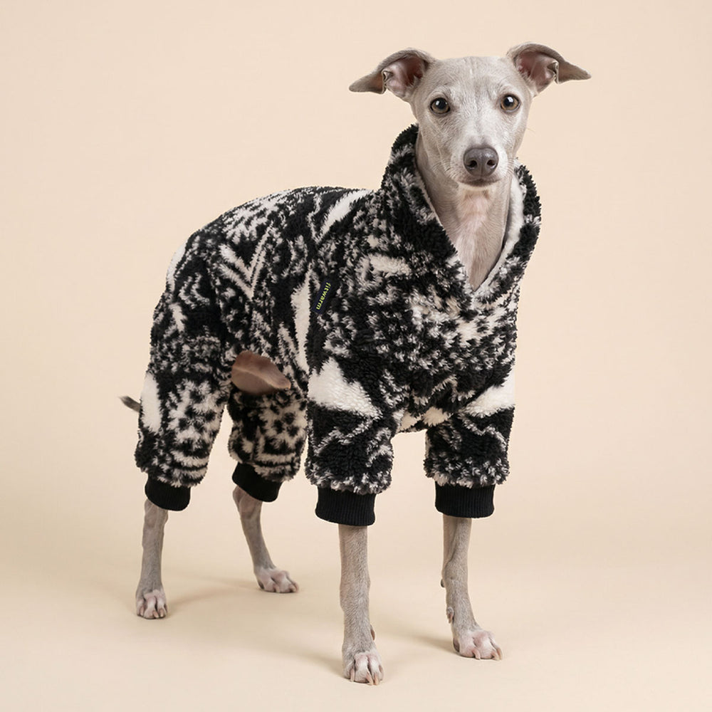 Italian greyhound wearing a black and white patterned dog pjs on a beige background
