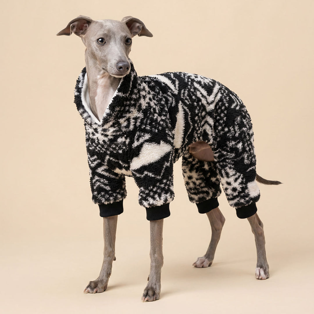 Italian greyhound in a fluffy pajamas for dogs