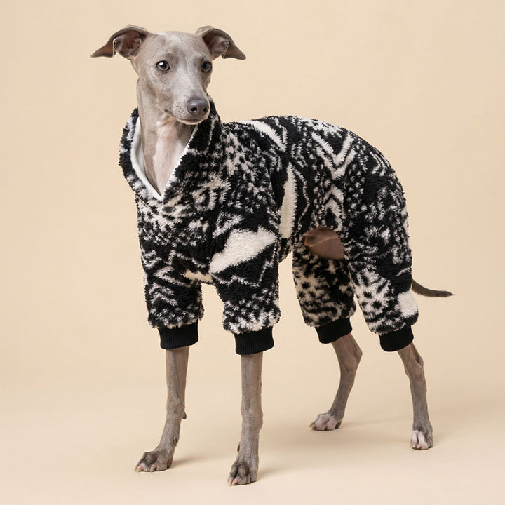Italian greyhound in a fluffy pajamas for dogs