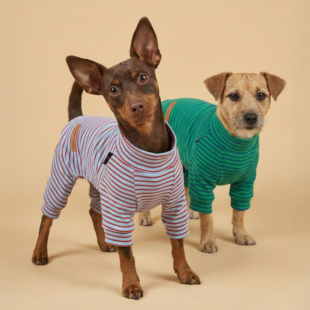 Two dogs wearing striped dog pajamas, standing side by side