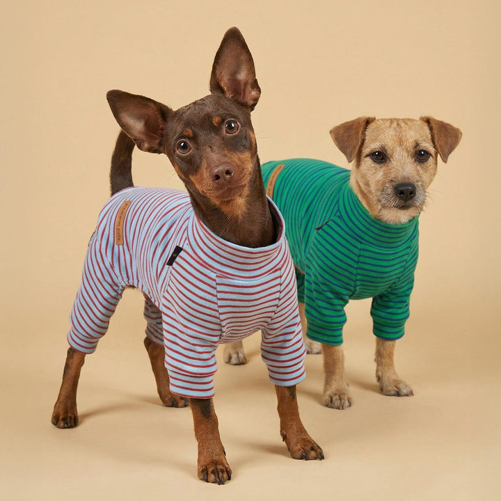 Two dogs wearing striped dog pajamas, standing side by side