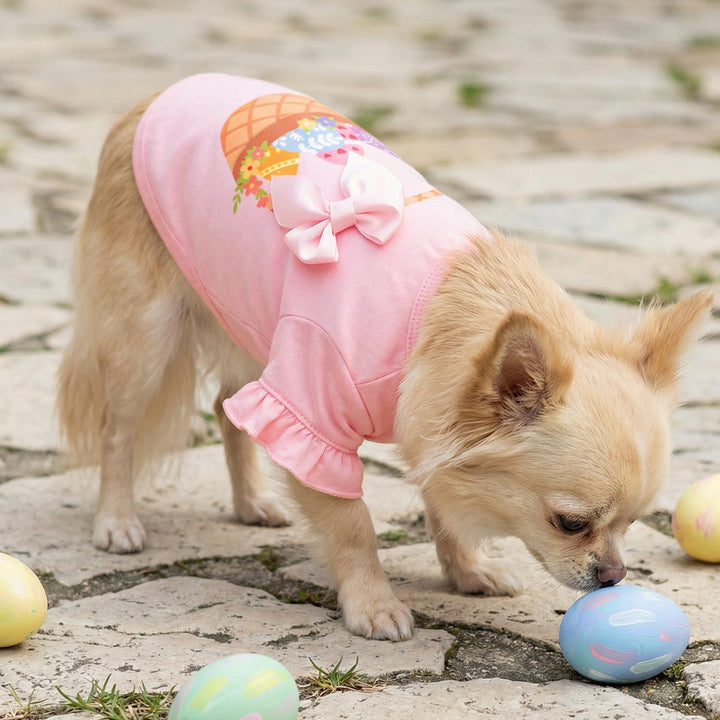 Small dog in Easter dog tshirt surrounded by Easter eggs