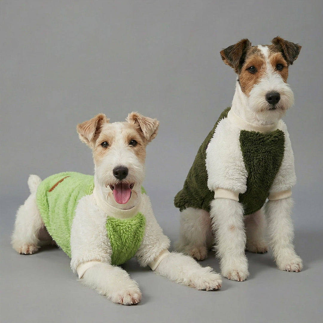 Two dogs in cozy fleece dog onesie featuring green and white color blocks