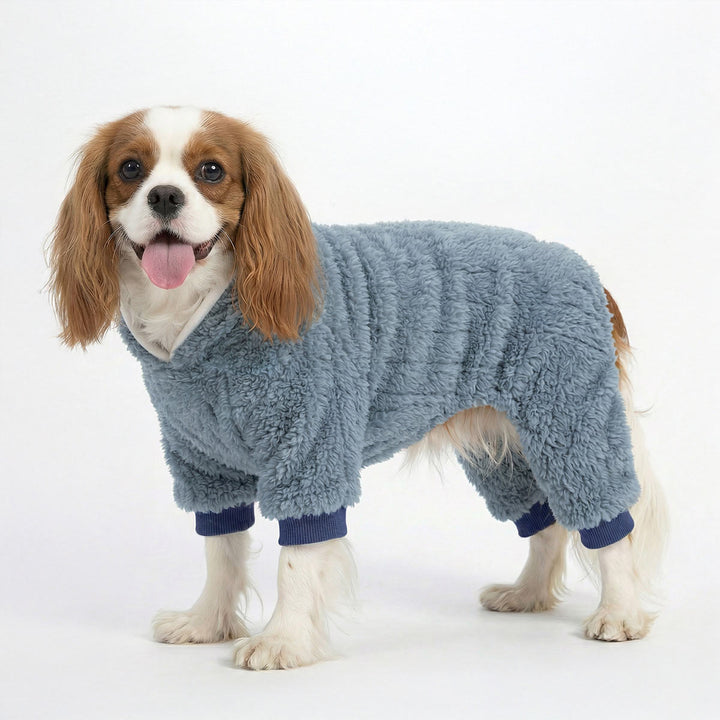 Cavalier King Charles Spaniel wearing a fleece pajamas for dogs happily