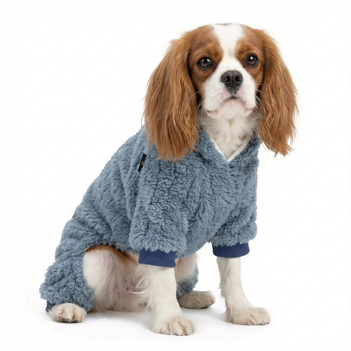 Cavalier King Charles Spaniel in a collared neck winter fuzzy dog onesie