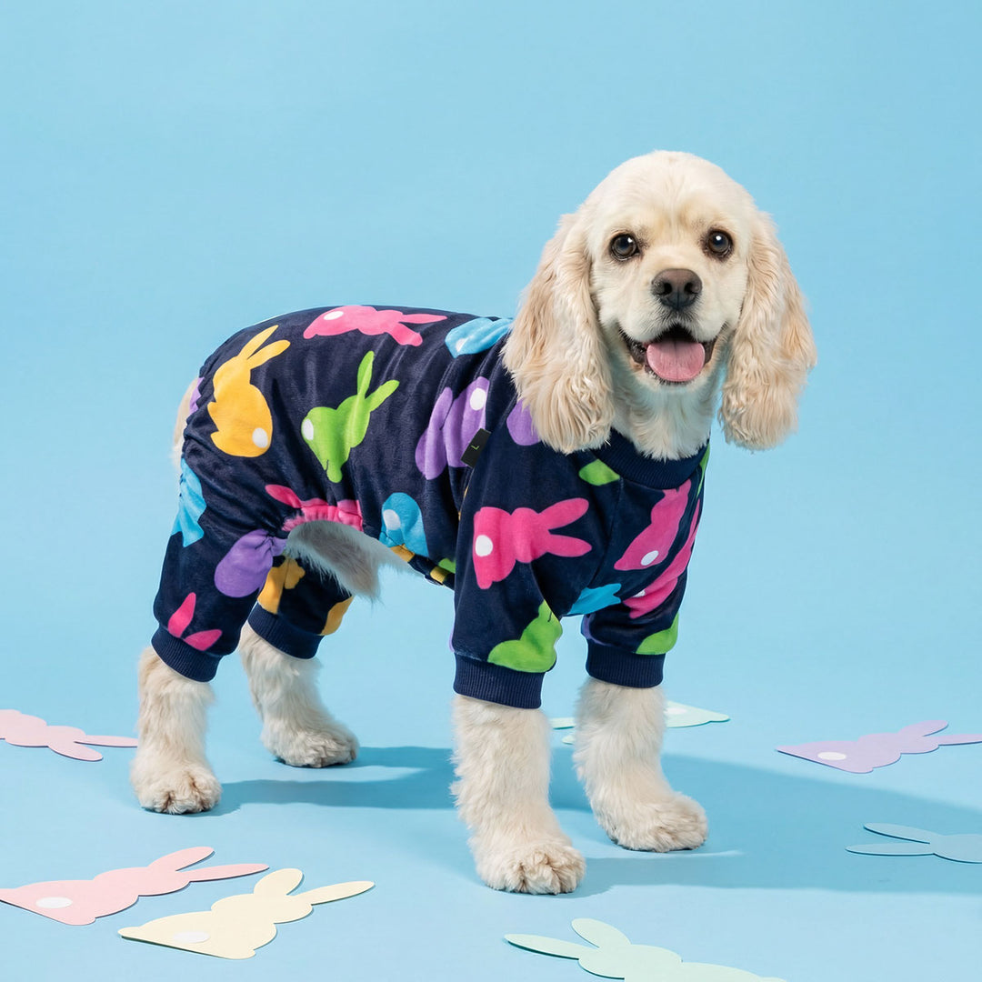 Happy dog wearing colorful dog pajamas with bunny prints, styled for Easter on a playful blue backdrop.