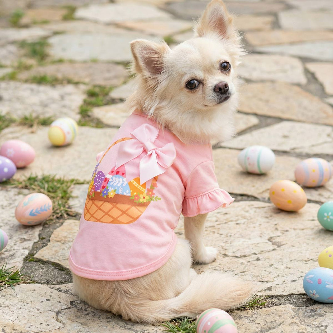 Small dog wearing a pink dog shirt with Easter basket print outdoors