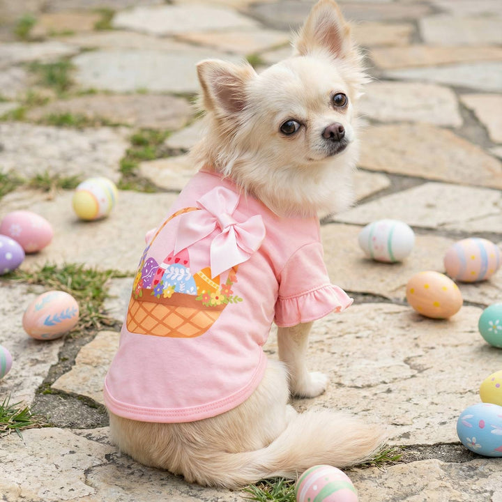 Small dog wearing a pink dog shirt with Easter basket print outdoors