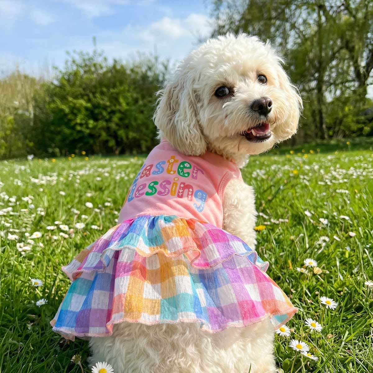 Easter Blessing Dog Dress - Fitwarm